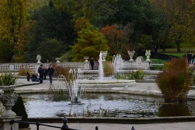 DSC_0572 (Large).JPG